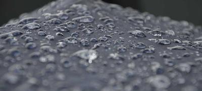 蒙特雷球迷观赛广场